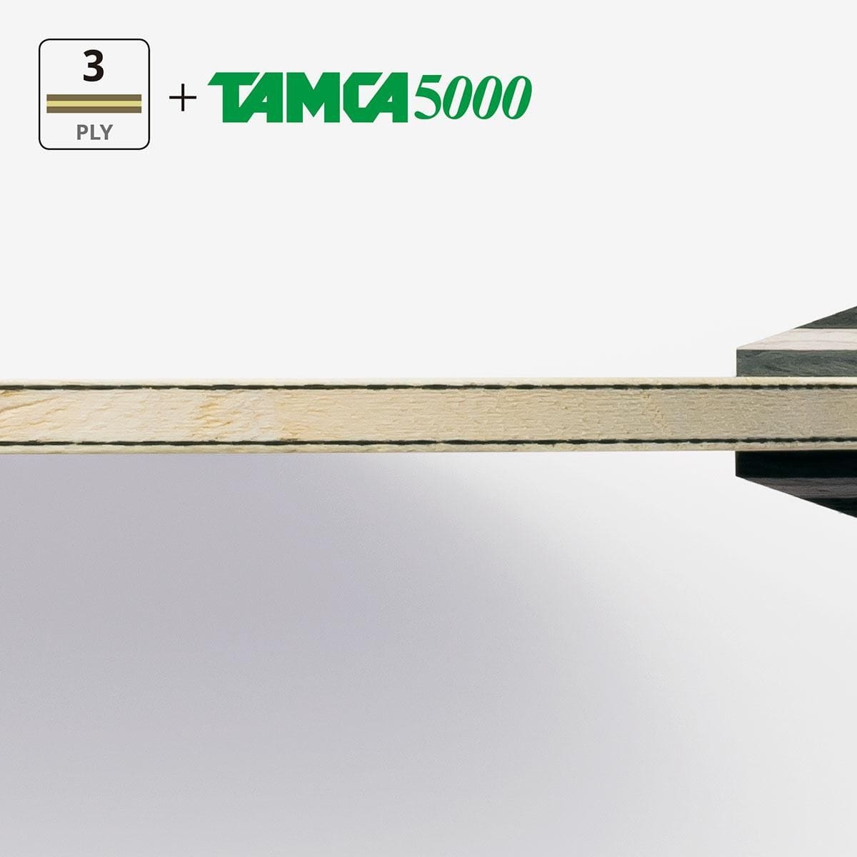 蝴蝶 TIMO BOLL TJ